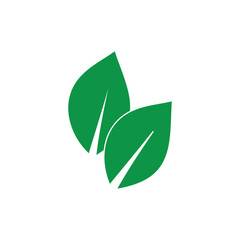 leaf logo icon