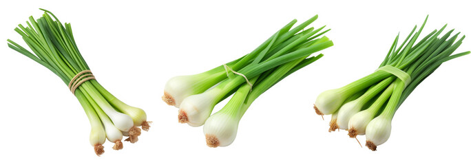 green onion White Background - Powered by Adobe