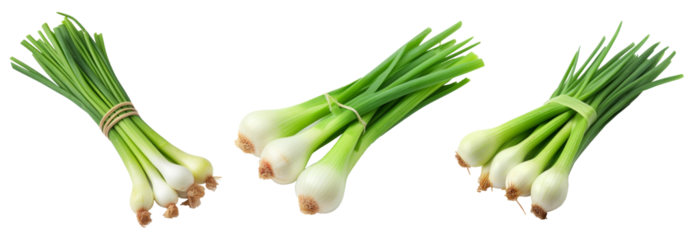 green onion White Background