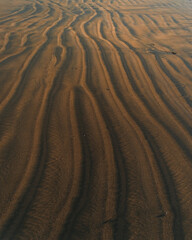 Beautiful texture of the sand on the beach