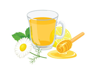 Camomile tea with honey and mint in glass cup. Vector cartoon flat illustration of healthy drink.