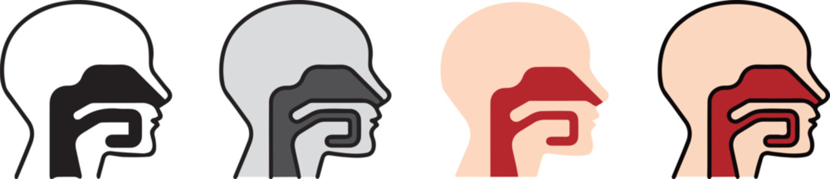human anatomy. pharynx icon with 4 different styles.