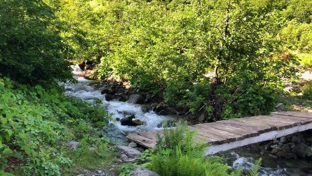 River runs gently through Black Sea Karadeniz region of Turkey, through the landscape of lush greenery. Beautiful river scenery with a wooden bridge