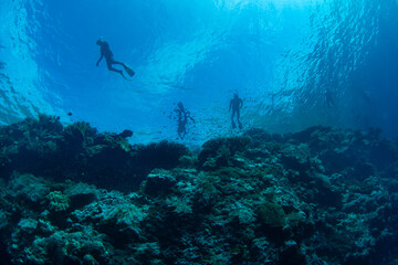 Fototapeta na wymiar Snorkelers explore the edge of a dramatic reef drop-off at a remote island in Indonesia. The numerous islands of this region harbors the world's richest collection of marine biodiversity.