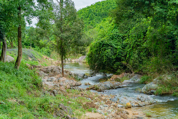 Obraz premium A waterfall in a nature park.Cloudy weather. Yang Bay Ecopark in Vietnam near Nha Trang.