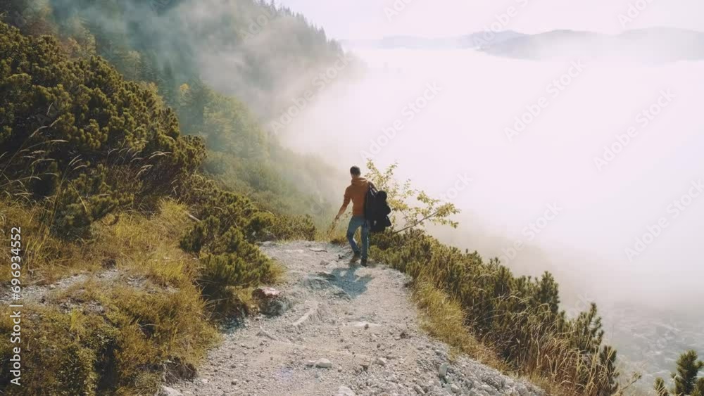 Wall mural man traveler walks through the forest higher than clouds to the mountains. incredibly beautiful view