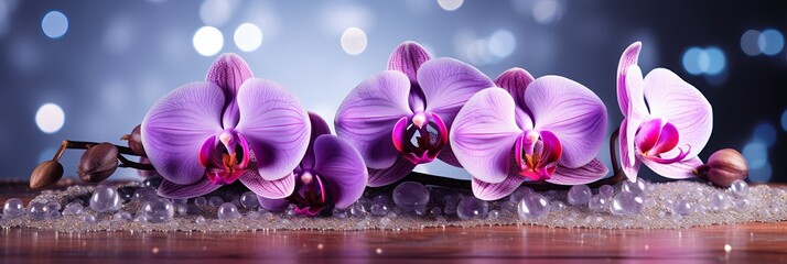 Purple orchid on isolated magical bokeh background with copy space for text placement