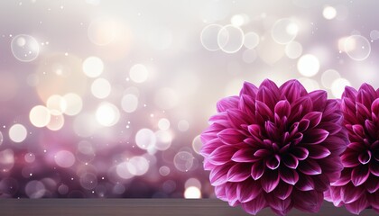 Purple dahlia flower in isolated magical bokeh background with copy space for text placement