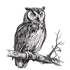 Fotobehang Owl bird on a branch sketch hand drawn in doodle style illustration © BigJoy
