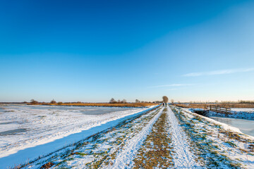 Fototapeta na wymiar Dutch polder landscape on a sunny afternoon in the winter season. At the end of a long unpaved road two women are walking with their dog.