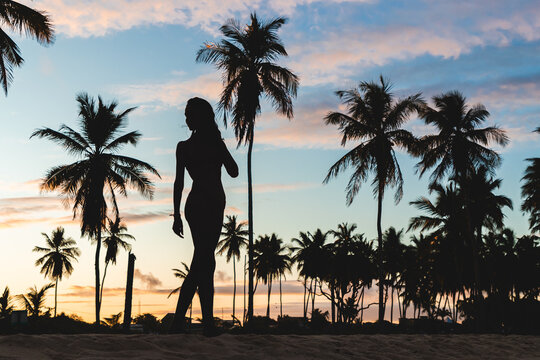 Silhouette of woman in front of palm trees with twilight sky