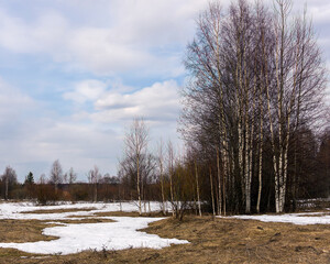 It's early spring, the snow is not melted in the clearing. Deciduous and coniferous trees grow along the edge.