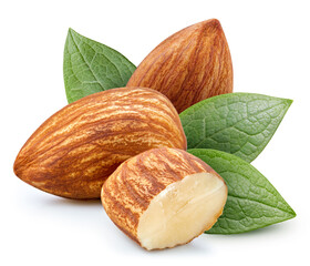 Almond isolated on white background