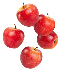 Organic red apple isolated on white background