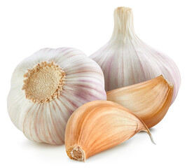 Garlic isolated on white background