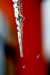 shiny clear ice icicles hang on a clear day. - 696956172