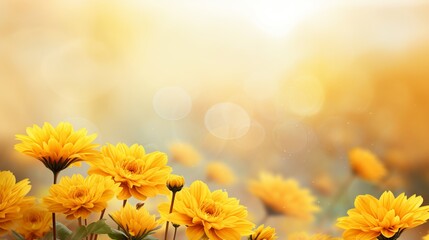 Vibrant yellow chrysanthemum on right side with magical bokeh background and text space on left