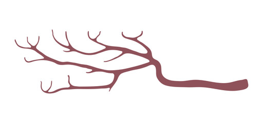 Tree branch, twig, stick illustration. Hand drawn style flat design, isolated vector. Botanical, plant element wood