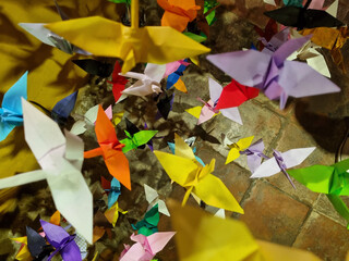 Rainbow origami bird