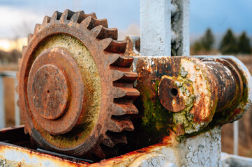 Corroded old gear closeup