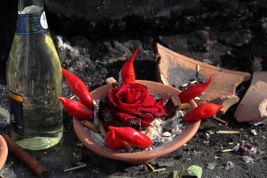 Macumba offering consisting of a rose amidst red peppers on a broken ceramic plate