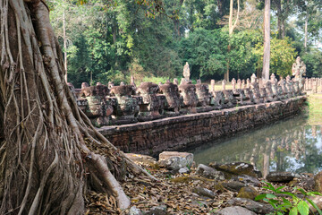 angkor wat temples in cambodia - obrazy, fototapety, plakaty