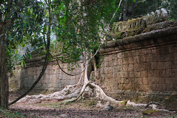 angkor wat temples in cambodia