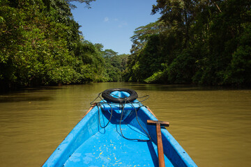Exploring the tranquil waters of a lush river by boat