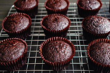 Freshly Baked Chocolate Cupcakes on a Cooling Rack: Close-up view of homemade chocolate cupcakes cooling on a wire rack