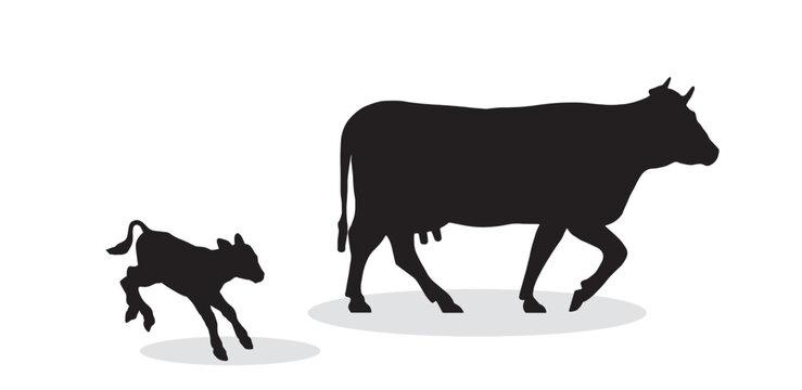 Cow and calf (Baby Cow) Black silhouette of . Isolated on a white background. Black flat color simple elegant Cow and calf (Baby Cow) vector and illustration.