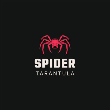  spider logo design