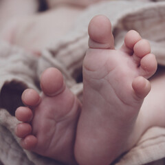 The legs of a newborn baby on a beige muslin towel. High quality photo