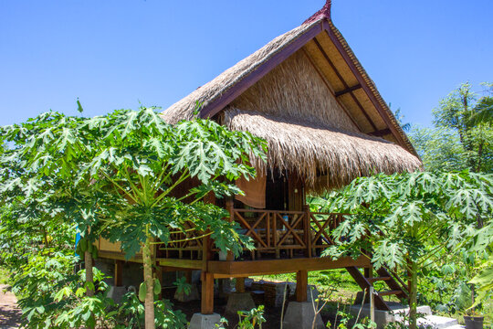 A traditional thatched hut nestled among lush greenery under a clear blue sky