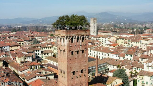 Torre Guinigi, Lucca Toscana