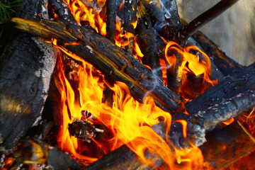 close up of burning firewood