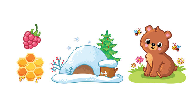 Set of cute bear character, bear cave, honey and raspberries. Wild animal and their homes, favorite food in cartoon style.
