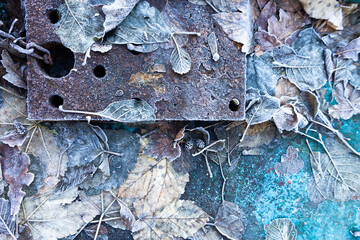 Frozen leaves on grunge blue background