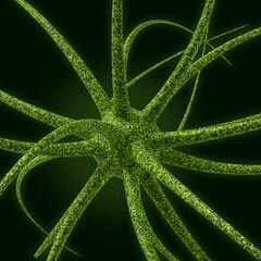 Human Brain and Virus Cells on Medical Background. Futuristic Brain Infection Meningitis. 3d Rendering