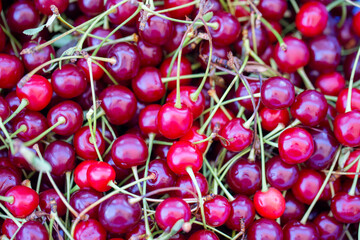 sour cherries in a market