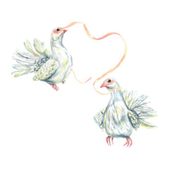 White doves watercolor. Illustration of peace symbol birds, ribbon. Greeting cards, wedding invitations, banners, flyers, birthday posters, festivals.