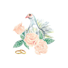 White dove and roses, rings, watercolor. Vector illustration of a peace symbol bird. Wedding invitations, cards, covers, banners, Valentines day.