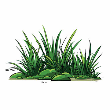 Grass flat vector illustration. Grass cartoon hand drawing isolated vector illustration.