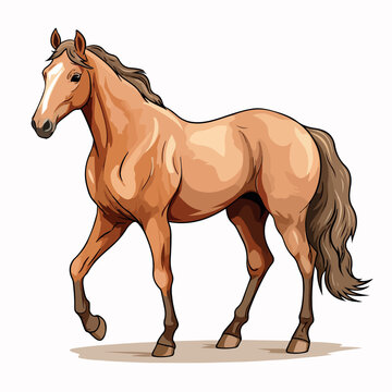 Horse flat vector illustration. Horse cartoon hand drawing isolated vector illustration.