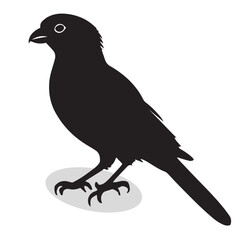 Quetzal silhouettes and icons. Black flat color simple elegant white background Quetzal birds vector and illustration.