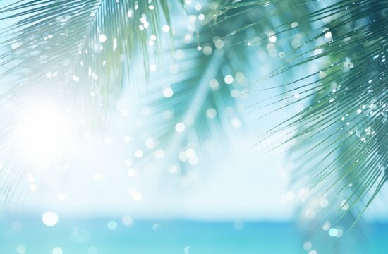 image of palm leaf on a beach backdrop with blurring
