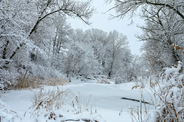 beautiful winter frozen river with trees along the bank 7