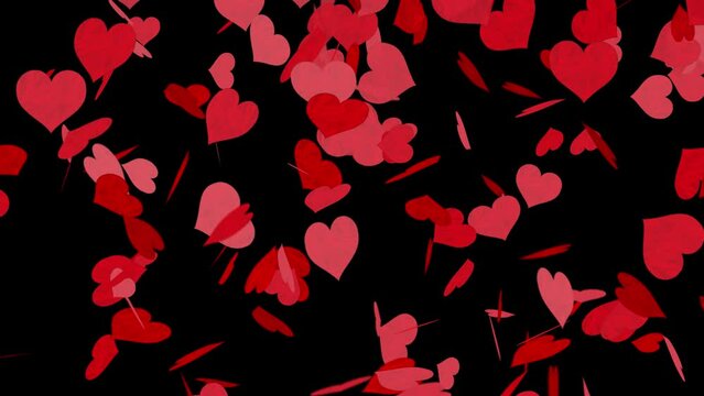 Animation of textured red hearts slowly falling isolated by the alpha channel(transparent background).animation for romantic background, happy Valentine's day.concept of love and friendship.