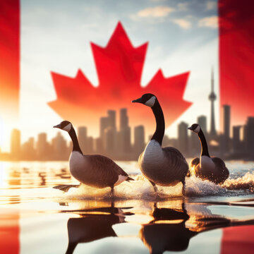 Canada geese on blure canada flag background. ai generative