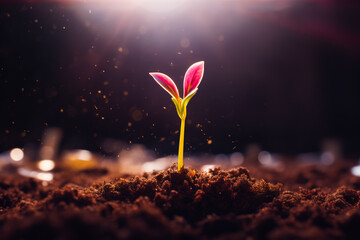 A young green sprout makes its way out of the ground under the rays of the sun.