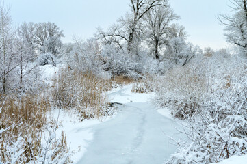 beautiful winter frozen river with trees along the bank 2